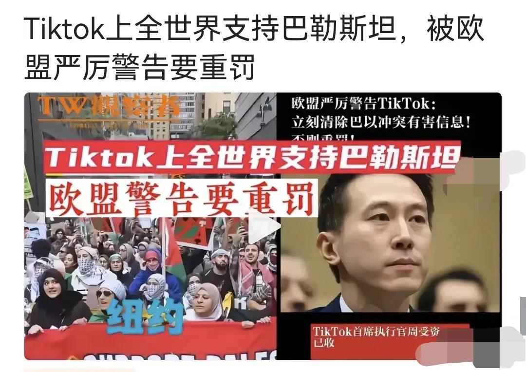 海外抖音TikTok上都是支持巴勒斯坦的，TikTok执行官收到欧盟的警告！

