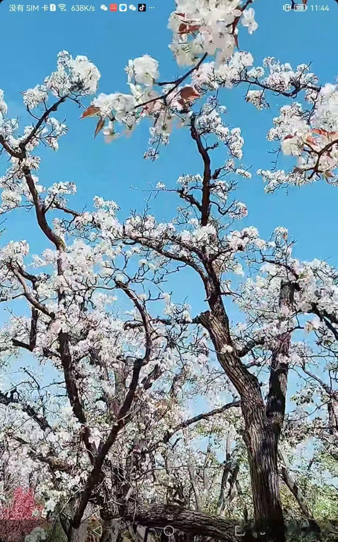 人没生病时有各种烦恼，身体生病后就只有一个烦恼。身体好的时候，嫌自己不够美，为钱