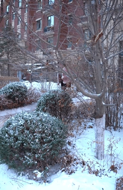 #晒晒你手机里的冬日美景#白雪皑皑银装素裹