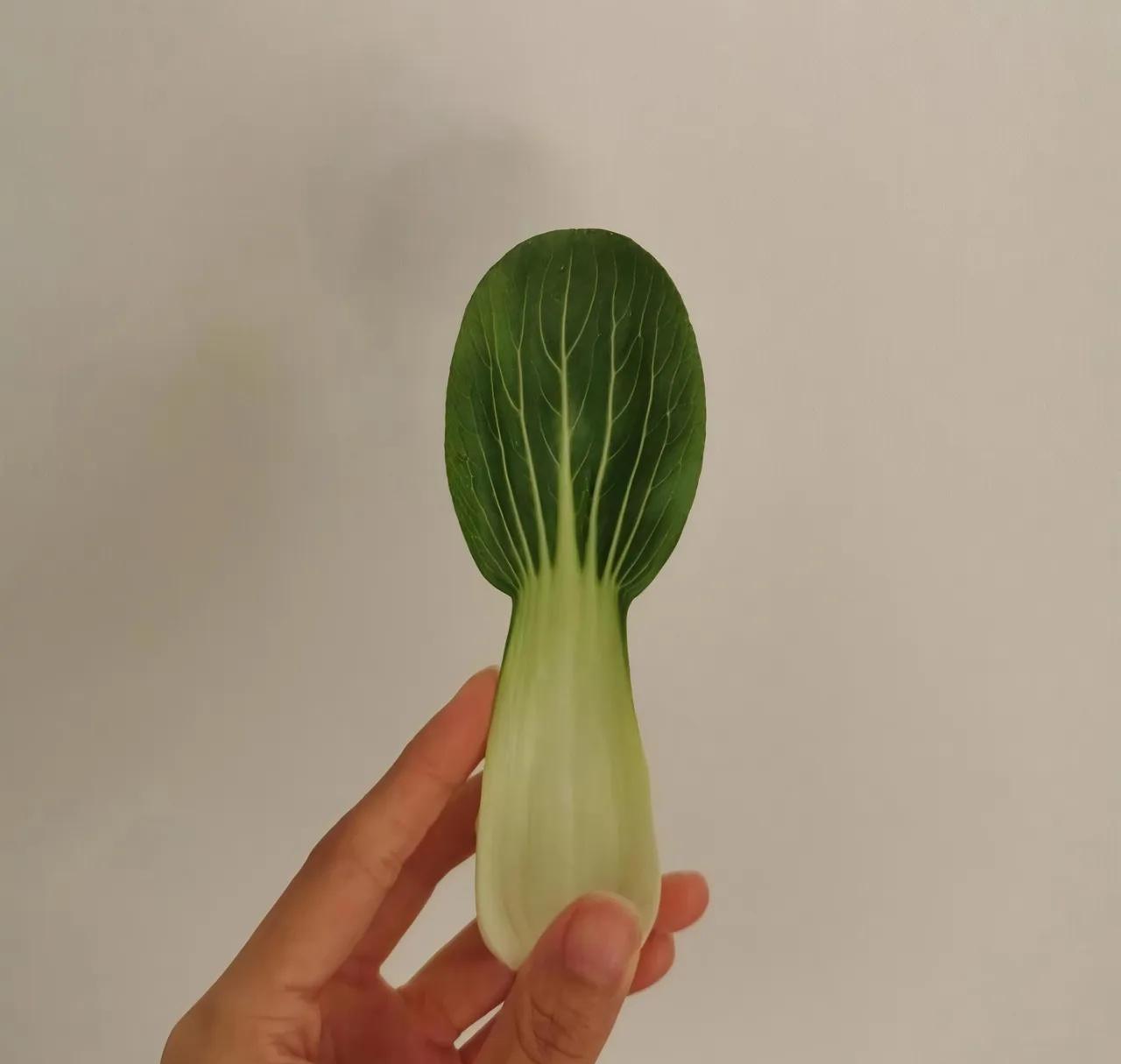 疯了！一张青叶子干到36万展现！我熬秃脑袋写的文，连零头都不到！
 
家人们！我