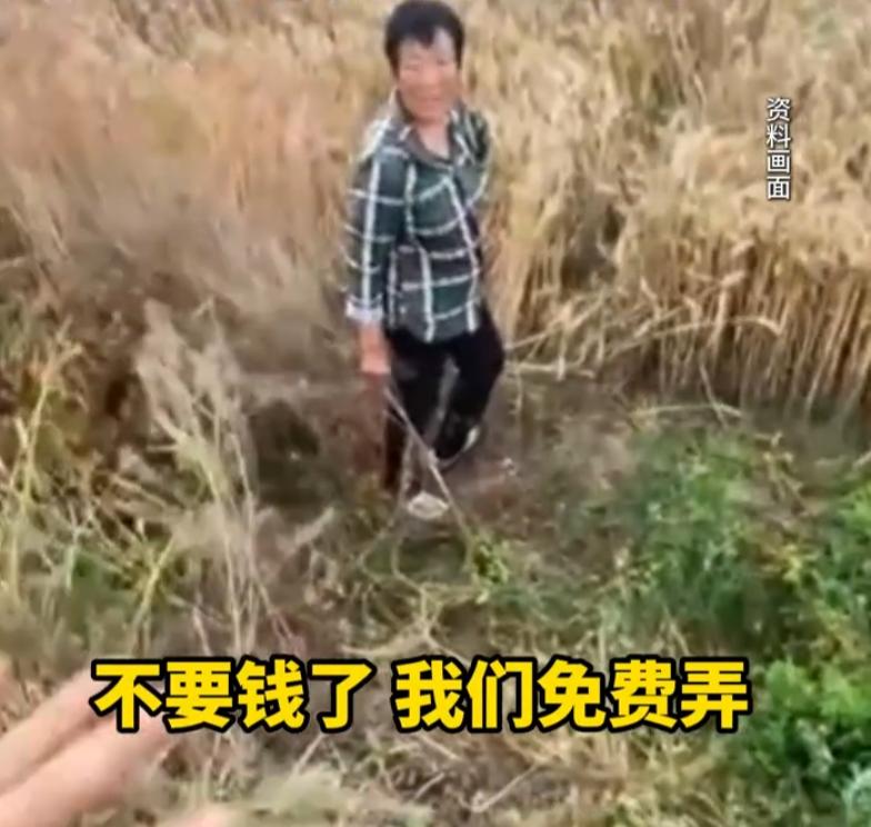 6 月初河南南阳唐河县正值麦收时节，来自山东的 18 岁农机手于朝乐跟着作业队伍