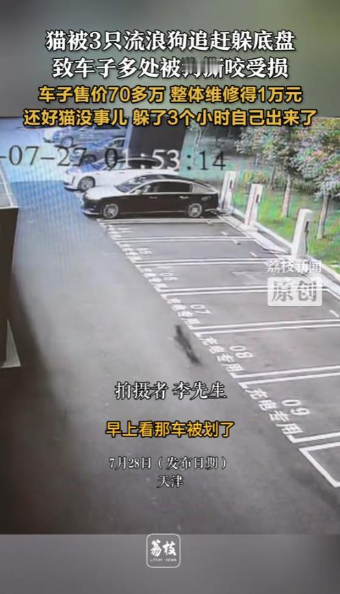 “太倒霉了！”7月27日，天津，一男子早起发现70万元的车被划，整体维修得1万元