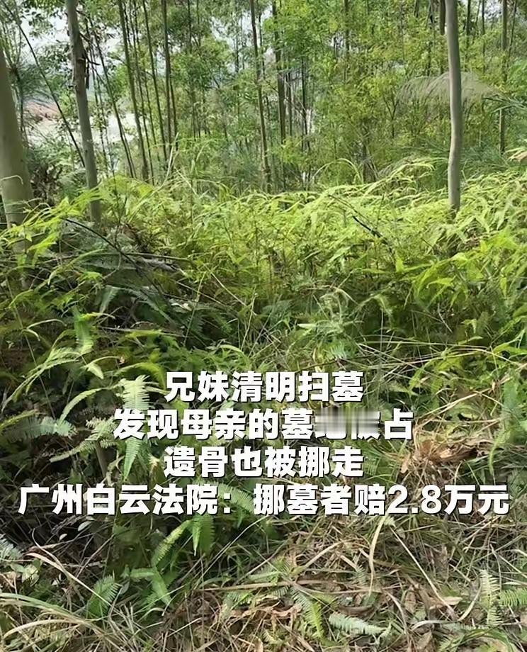 太荒唐了！一对兄妹趁着清明节上山祭祖，推开半人高的杂草一看，瞬间觉得五雷轰顶。亲