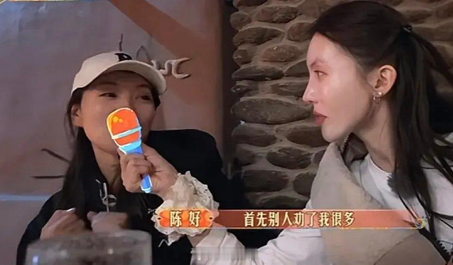 陈好被问为什么会参加《花儿与少年6》，陈好坦言：“首先别人劝了我很多，别人劝我说