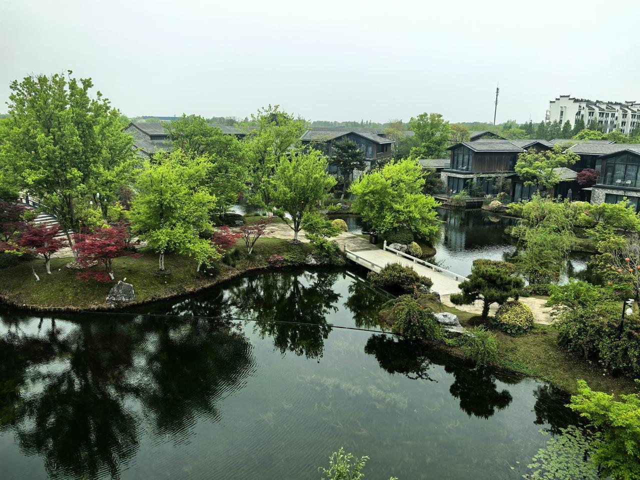 从溧水、高淳设区，看江阴、宜兴。昨天，又到南京的溧水和高淳参学。虽然，这两个地方