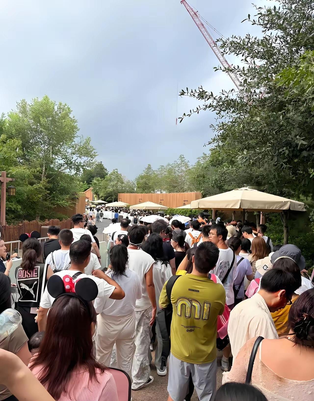 改版后的文章：

陪女儿排了三个小时的队，眼看着就要到了，结果优速通通道的人一波