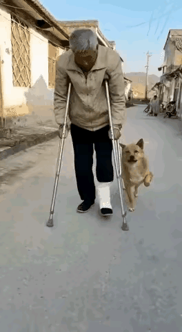 这种言论实际上是对被侵略国的一种伤害。
我们是需要引起警觉，但是也不必小题大做！