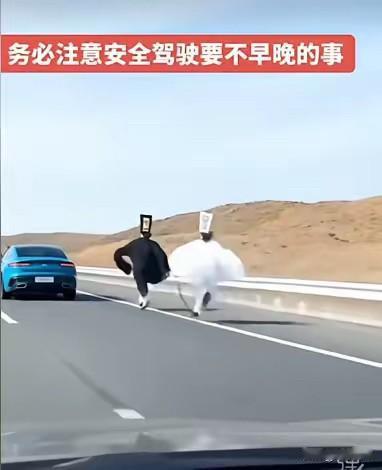 卧槽，这堪称年度最佳汽车安全广告文案！[恐惧][恐惧][恐惧][破涕为笑][破涕