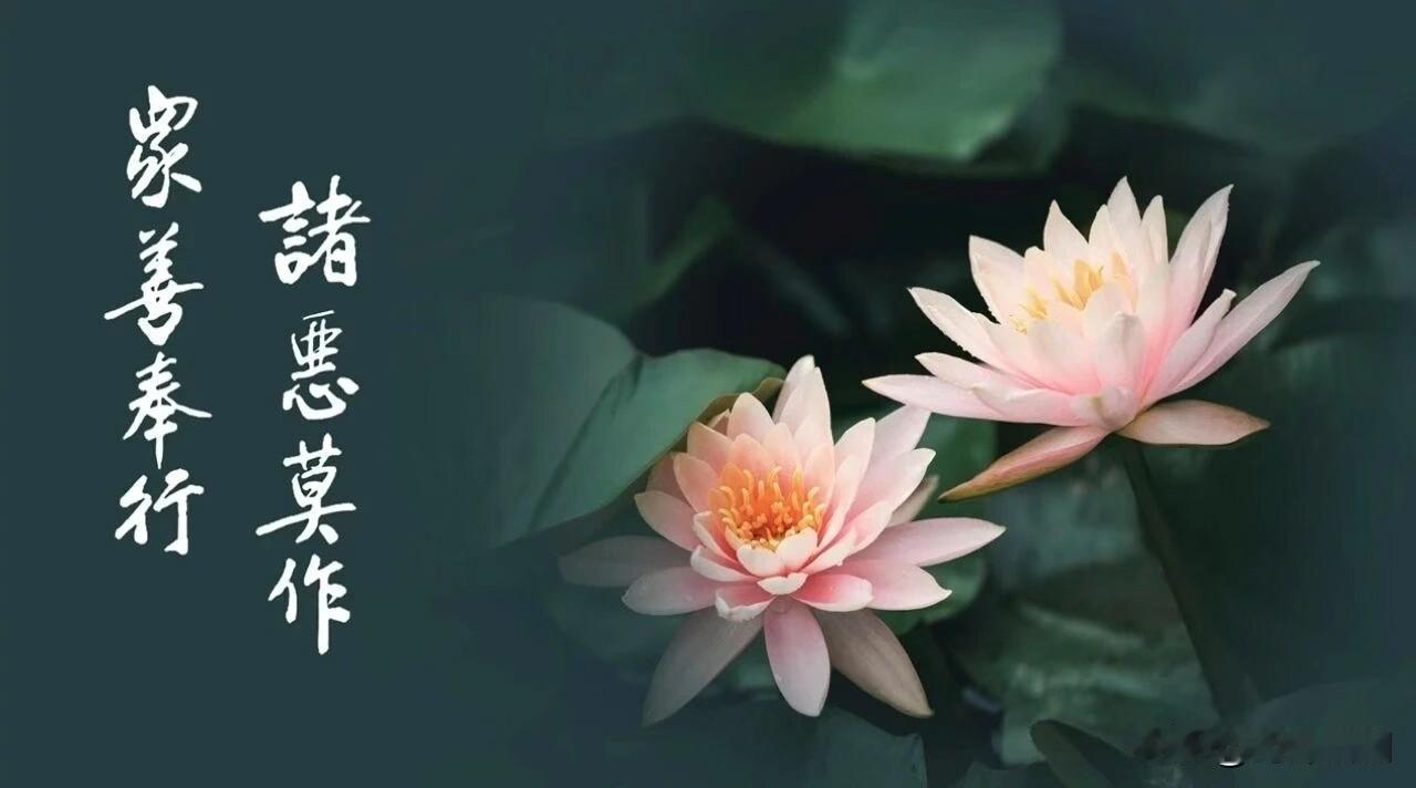 发愿：

每一天，能做善事的时候，尽量多做善事。能帮助别人的时候，尽量帮助别人。