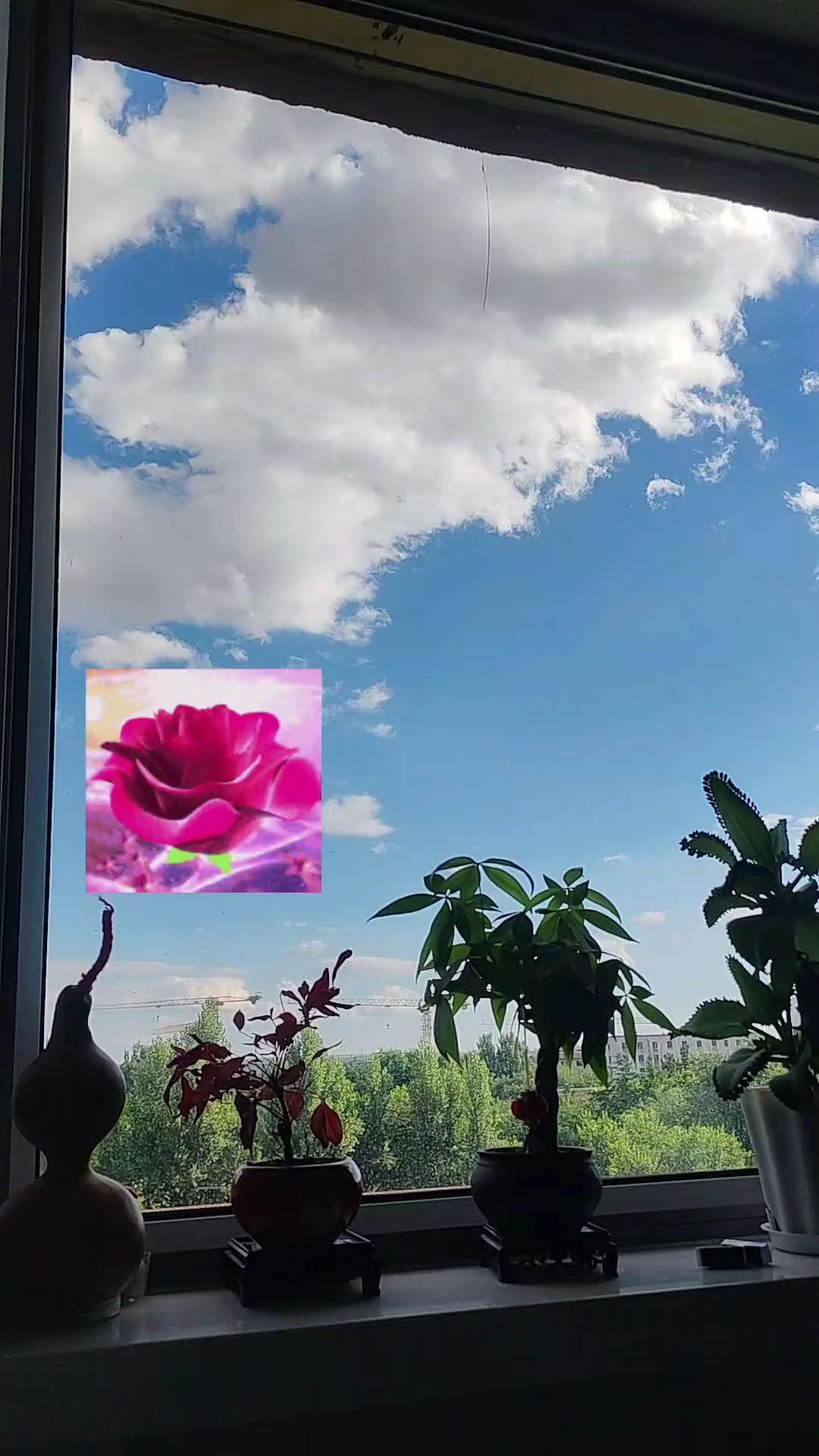 日落下的晚霞真的很美