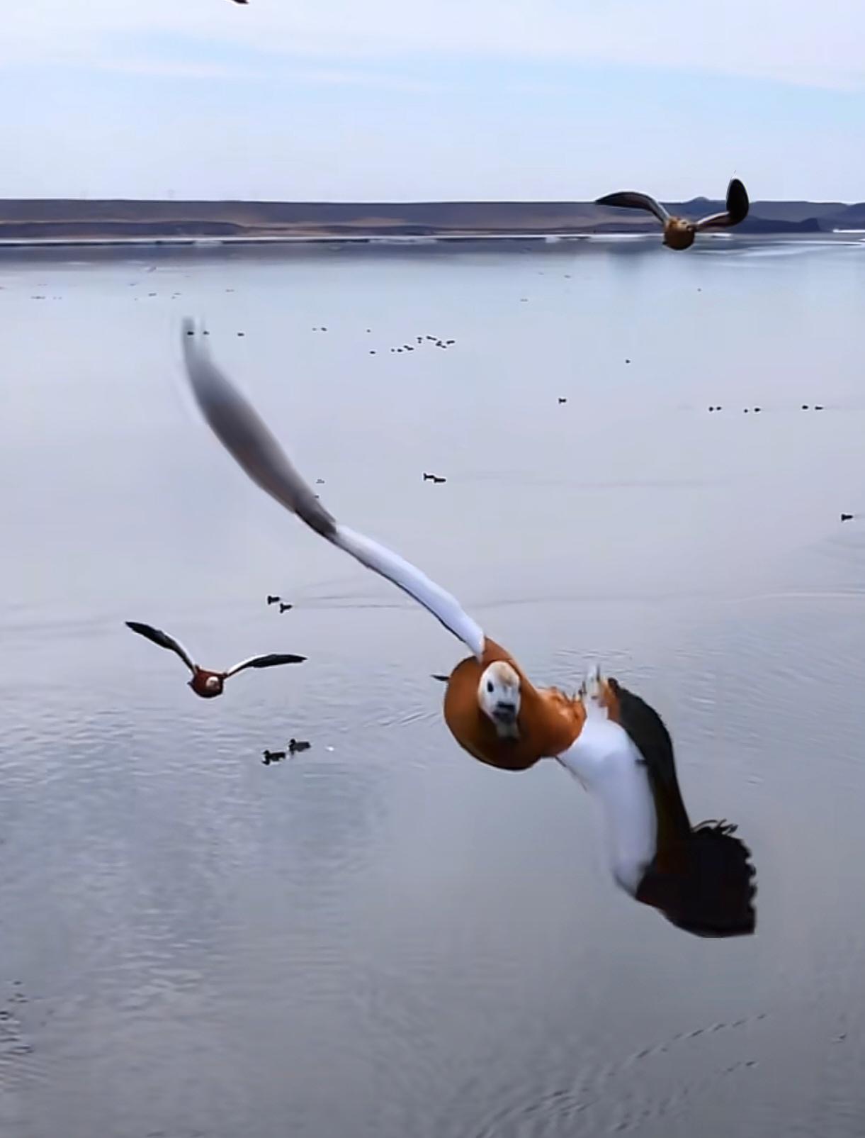 世界是连通的，欧洲三年多的事件不如中东三周事件影响大～

今早买食用菌，老板说调