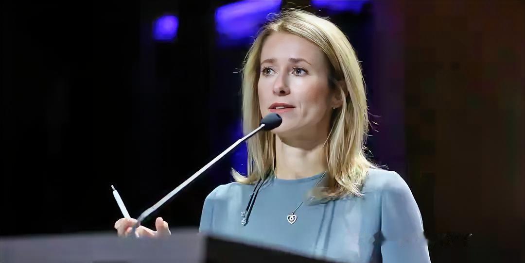 2月3日挪威北极前沿会议上，欧盟外长卡拉斯被挪威当场硬刚，属实尬住了！面对特朗普