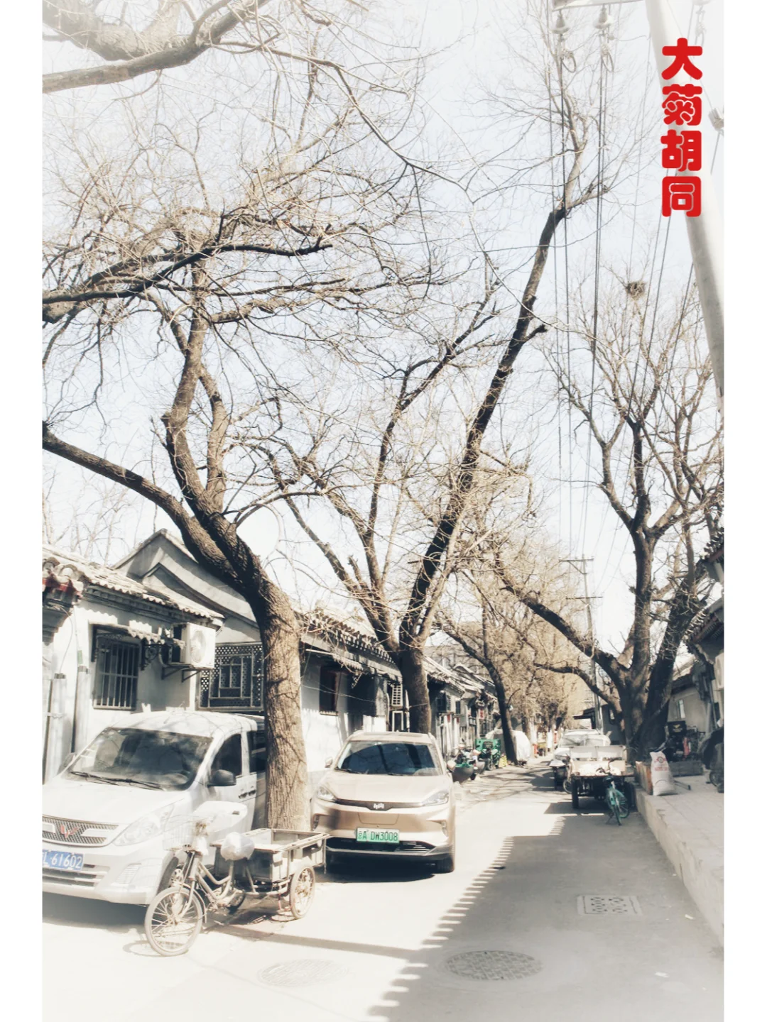 胡同系列42---草厂十条、大菊胡同