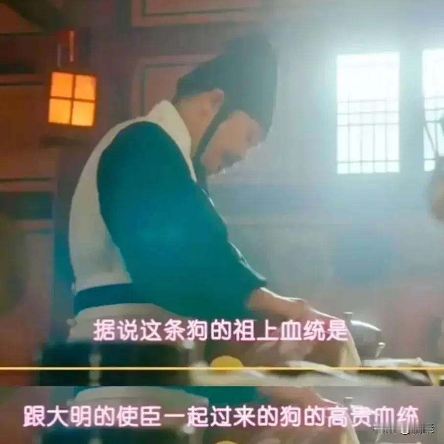 韩国人：大明来的狗？两百年了肯定都已经变成串串了。
弹幕大神：到了韩国肯定变成串