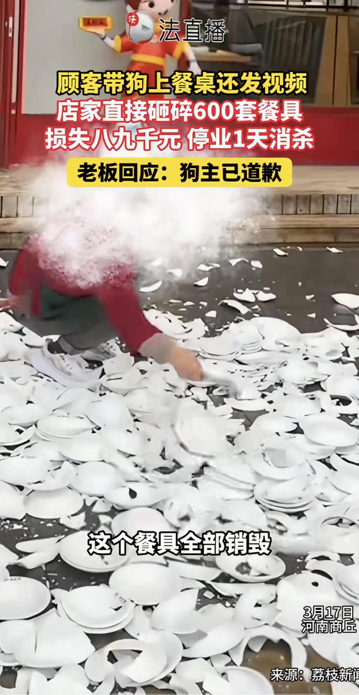 “砸得对！”有顾客把狗带进餐厅还上桌，并且发了视频。店主砸了600多套餐具，损失