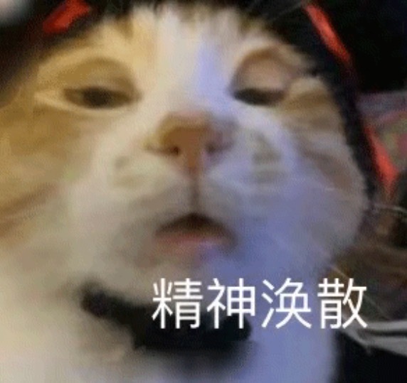 困困困……定了闹钟早上六点起来给我爸妈办值机我真是好女儿啊 