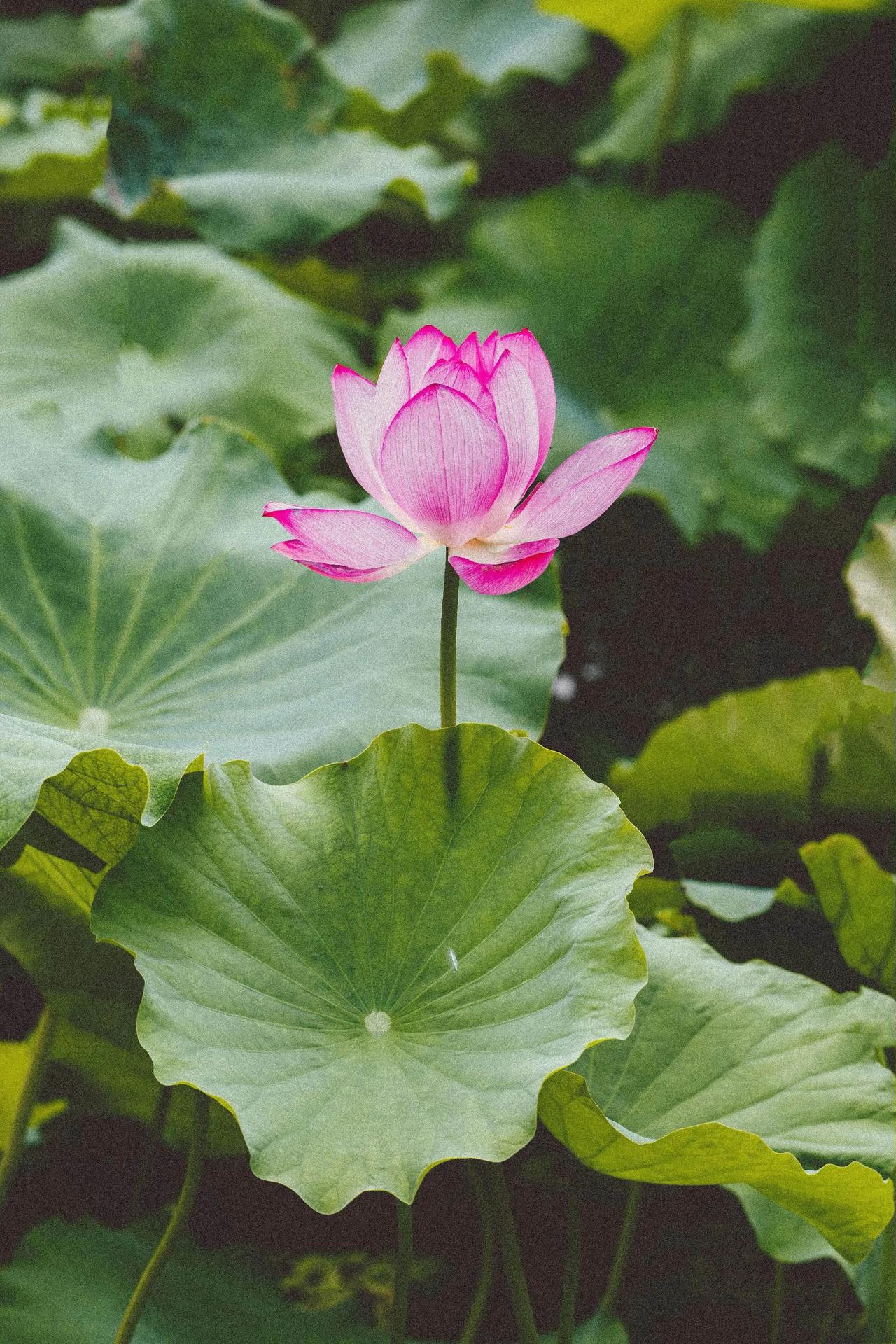 碰到一个初三的学生家长，在跟我聊天的时候希望我们做出保证，就是多少节课以后孩子能