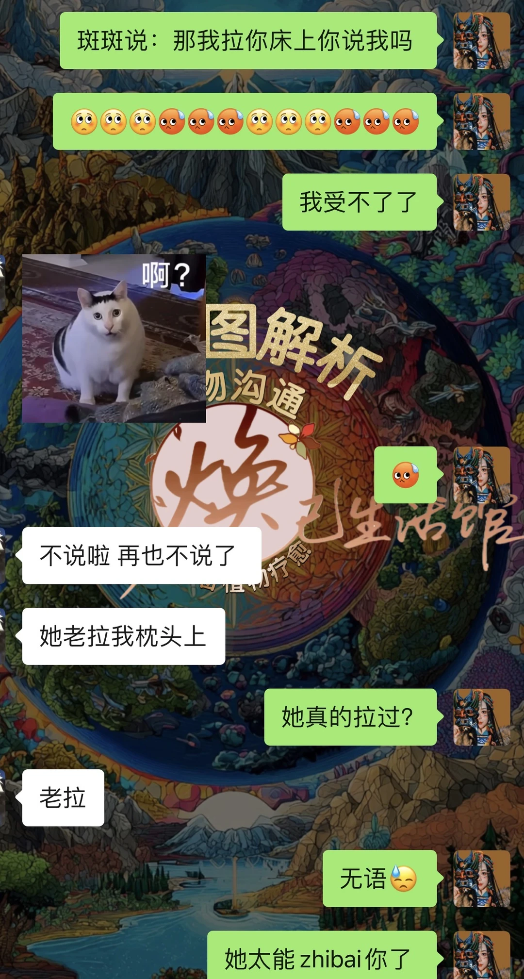 ✅宠物沟通｜宠物沟通的真相我的天呐‼️