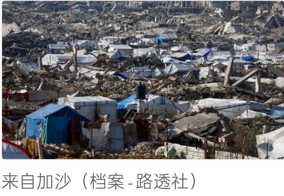 以色列文化部长、执政利库德党成员米奇·佐哈尔在被形容为“挑衅性”的言论中表示，加