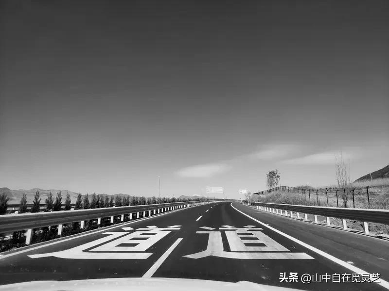 《道德经》的精华，可用一个“反”字道尽返璞归真，反者道之动。

它揭示了一个被世