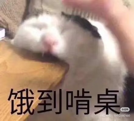 只要稍微想一想林医生/林警官的人格魅力也好 曲折身世也罢   xp就开始乱舞蹦迪