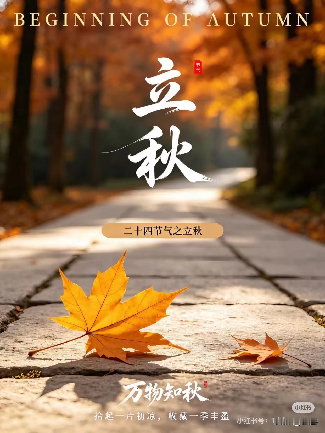 “秋风落叶萧萧下，芥舟邀对”，有人对“冬雪压枝弯弯垂”，这对得还挺妙。秋风扫落叶