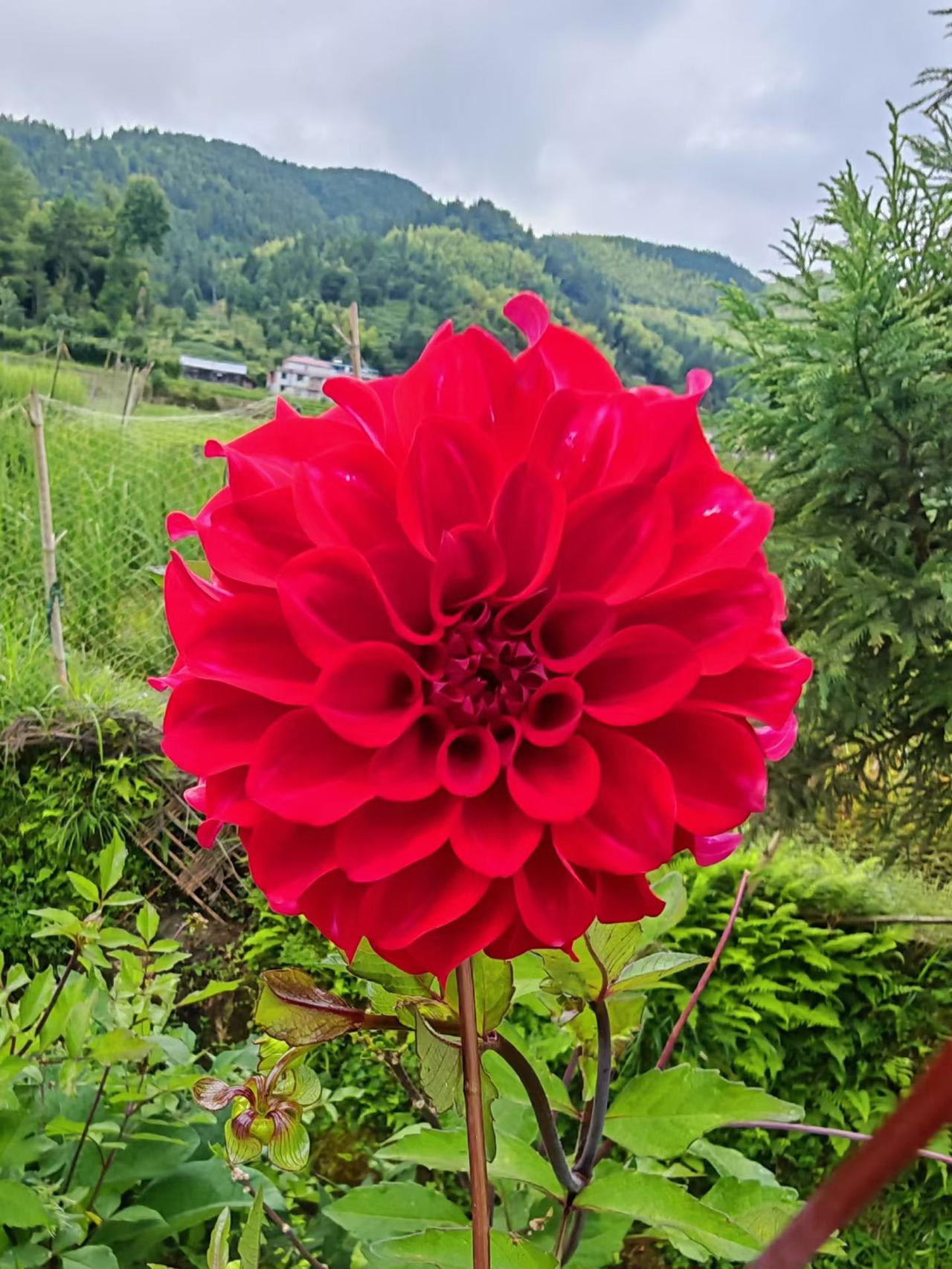 今日分享随手拍照片
