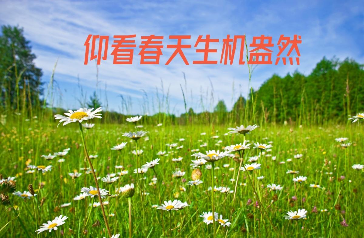 仰看春天生机盎然
眺望秋季硕果飘香