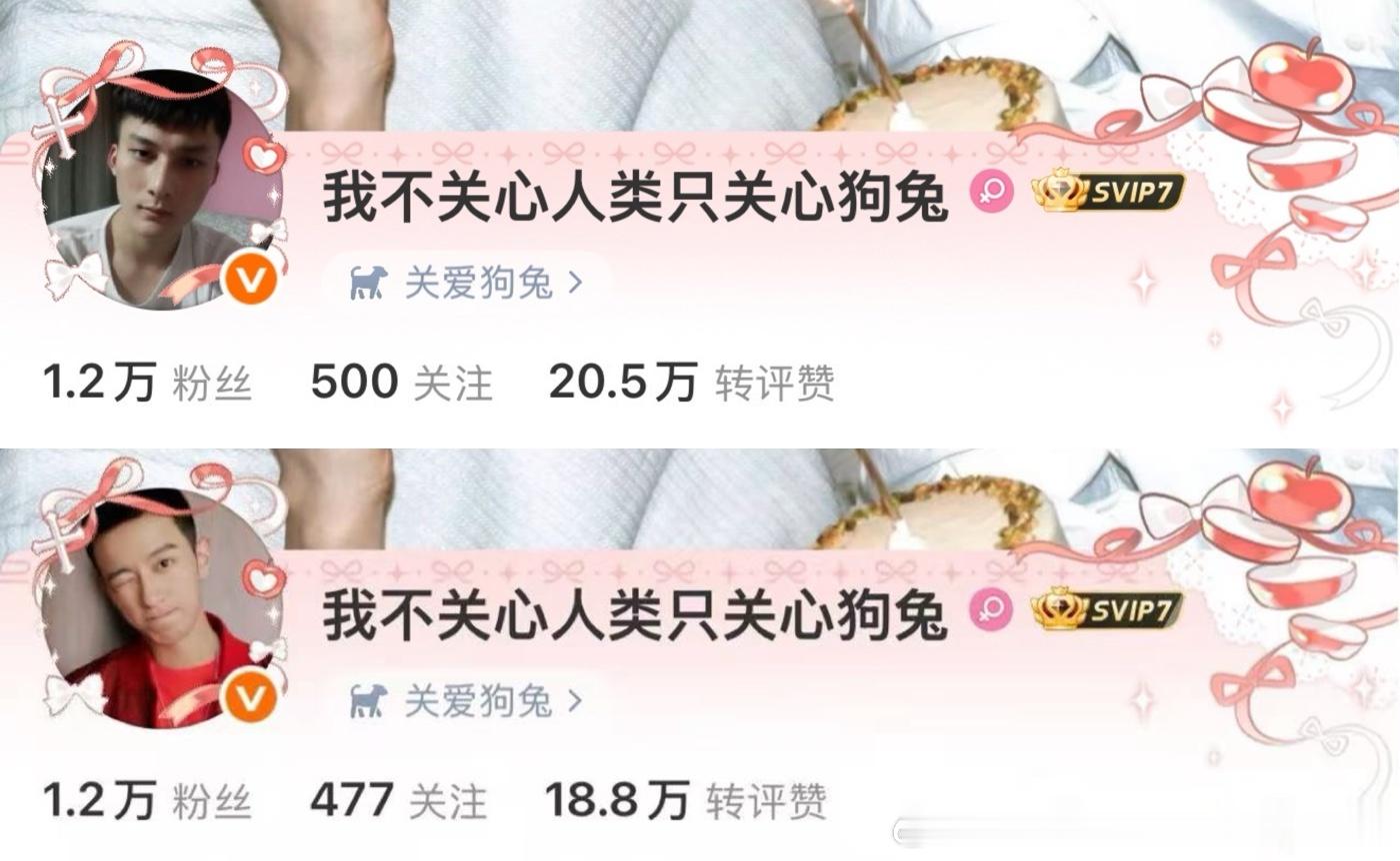 卧龙凤雏 