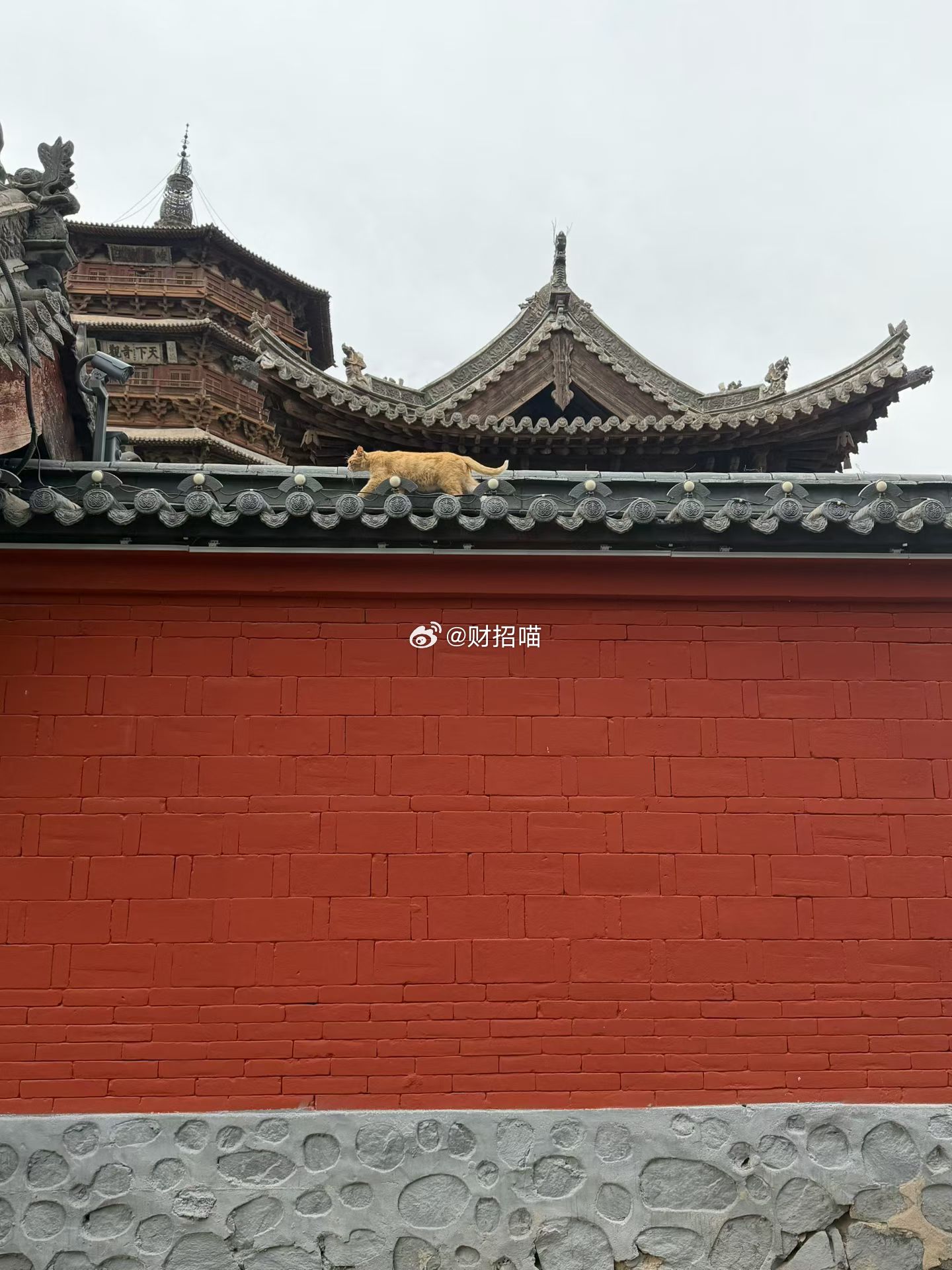 在这个世界上，很难找到和你精神匹配的人。在情感关系中，你看他有健康、有灵魂，有财