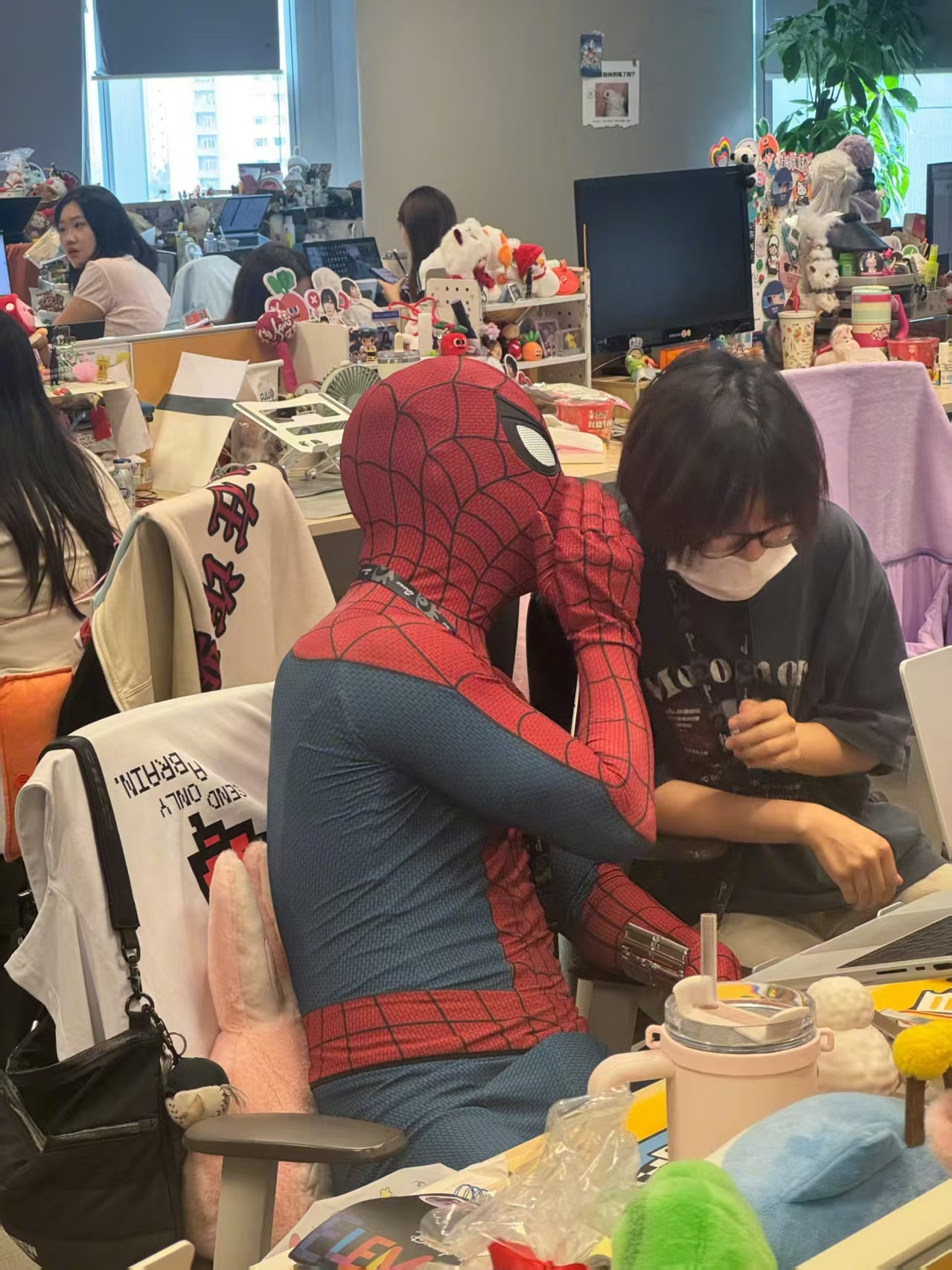 蜘蛛侠新浪扫楼珍珠小子遇上真蛛小子蜘蛛侠新浪扫楼惊喜连连，珍珠小子遇上真蛛小子同