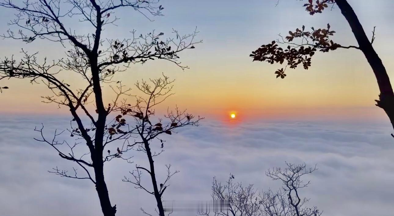 #秋天来到甘肃的仪式感#秋天来了，树叶红了，祝所有的朋友们重阳节安康！#重阳节#