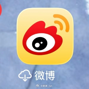 吓到我了，电话没内存了又自动移除了。 