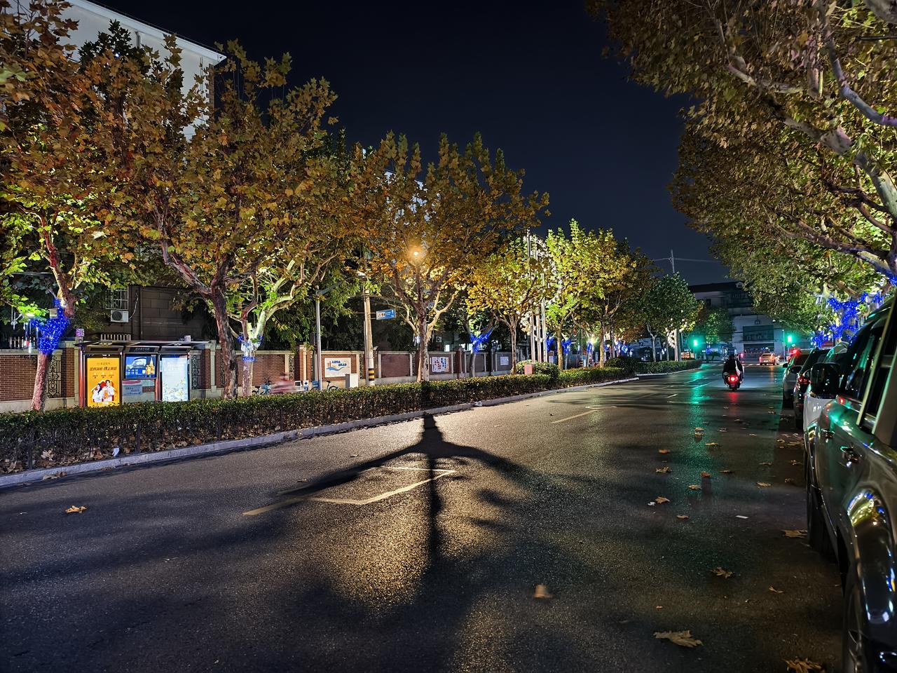 深秋夜晚的街头