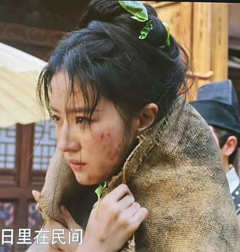 刘亦菲压轴前有赵盼儿的菜叶子被认成翡翠簪子再有黄亦玫的卷发器被认成花环现有刘亦菲