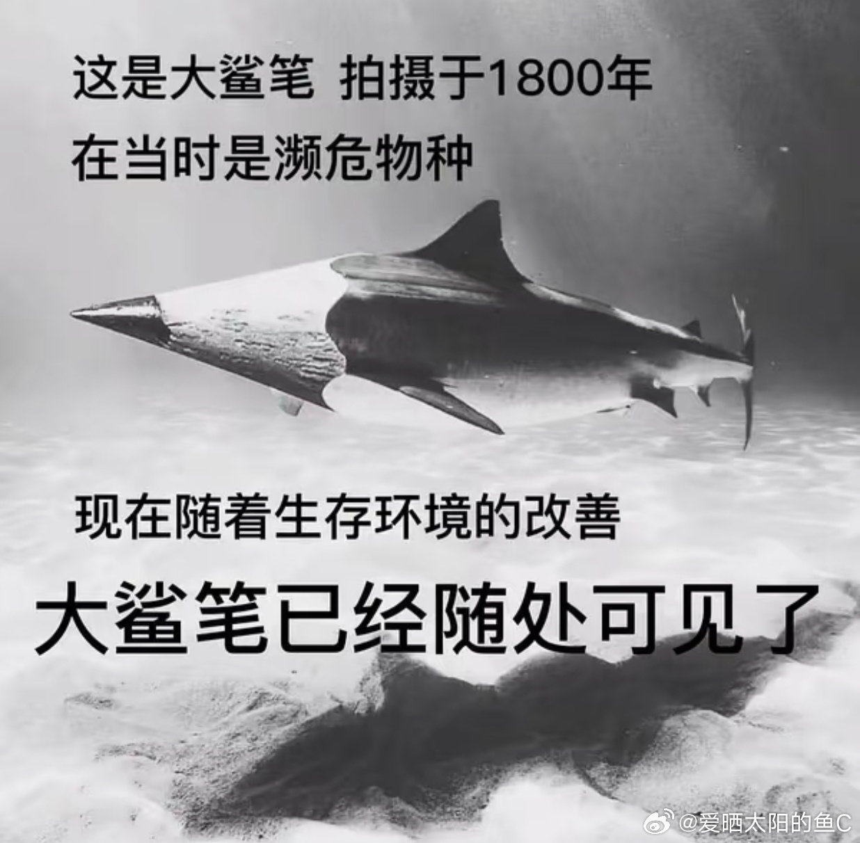 婚外试管男子欲按月支付财产给原配移情，多么伟小的两个字，仿佛看见了一只烂人的痛苦