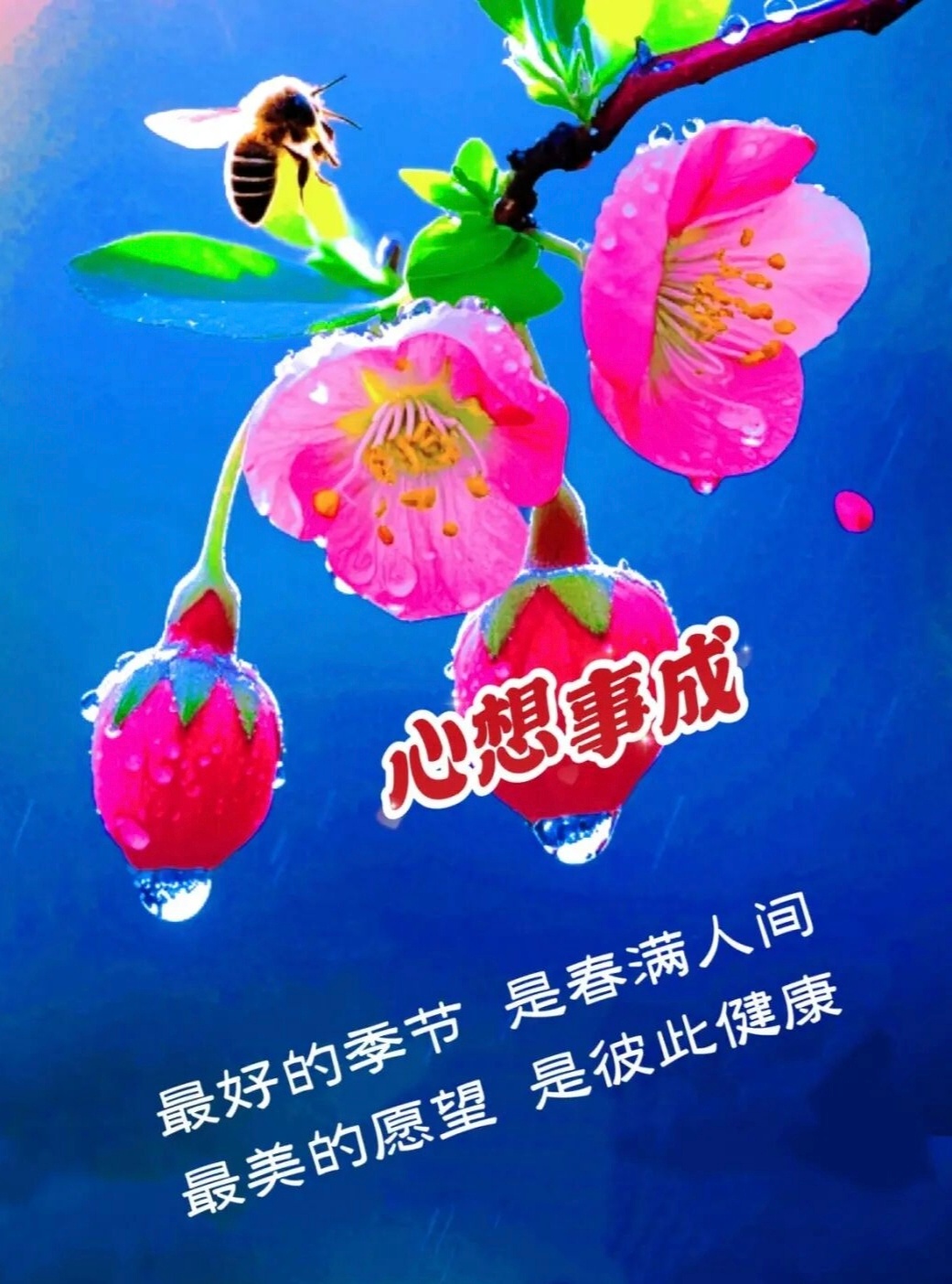 【健康养生】1）纳豆是大豆经过蒸煮后接种纳豆菌发酵成的产品，比传统黄豆酱含盐量低