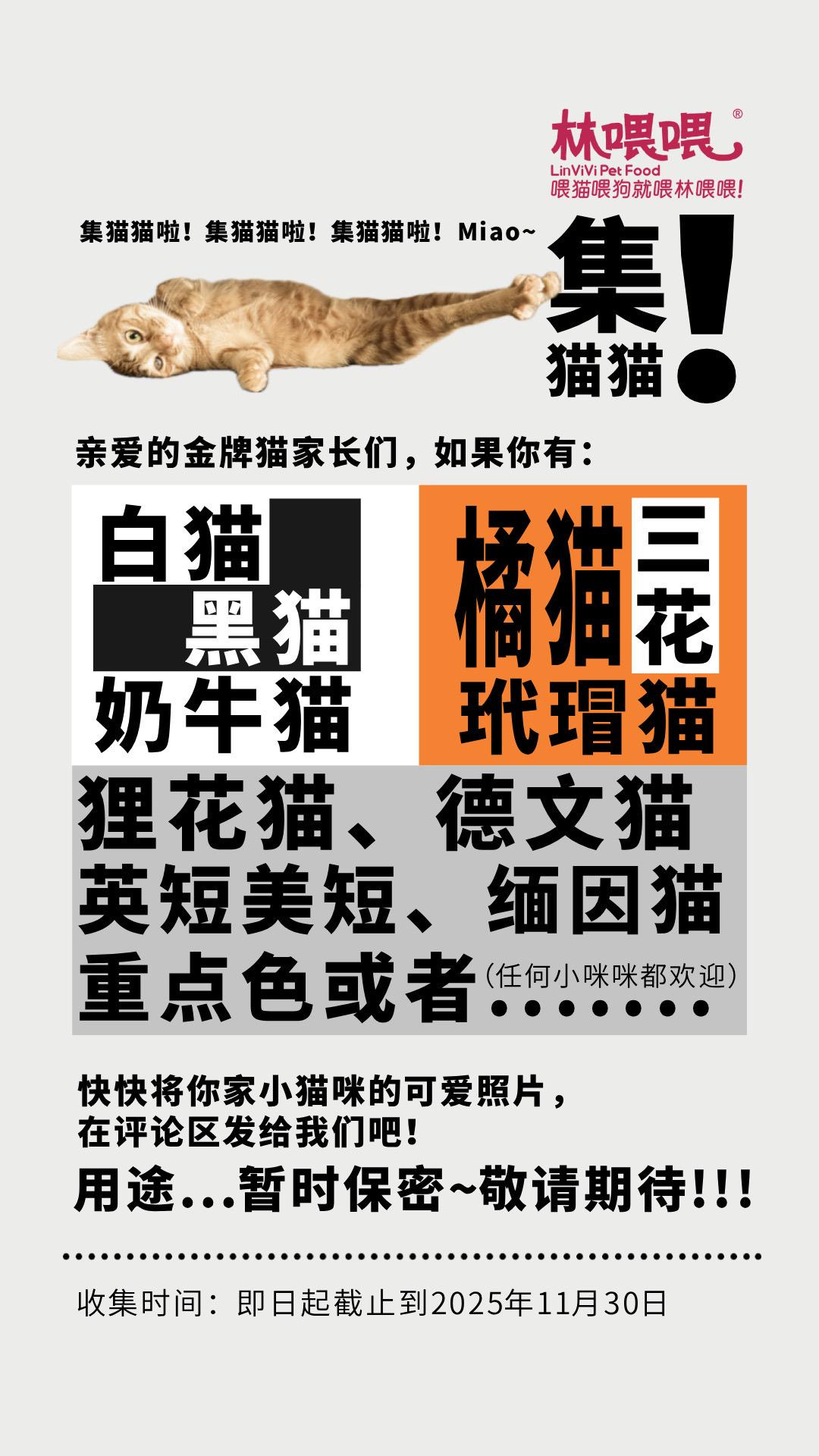 林喂喂集猫猫活动开始！交出你的小咪咪！