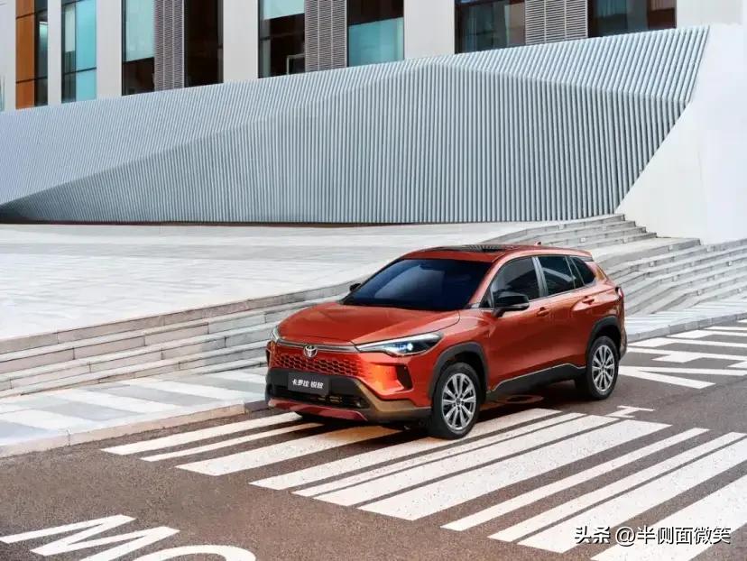 如果让我用一个词来形容与卡罗拉家族相遇的这一年，那一定是“踏实”。眼看到了年底，