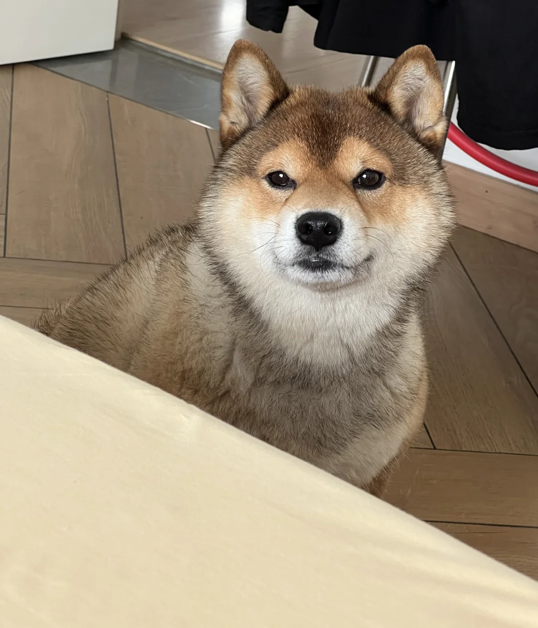 人，你终于肯醒啦