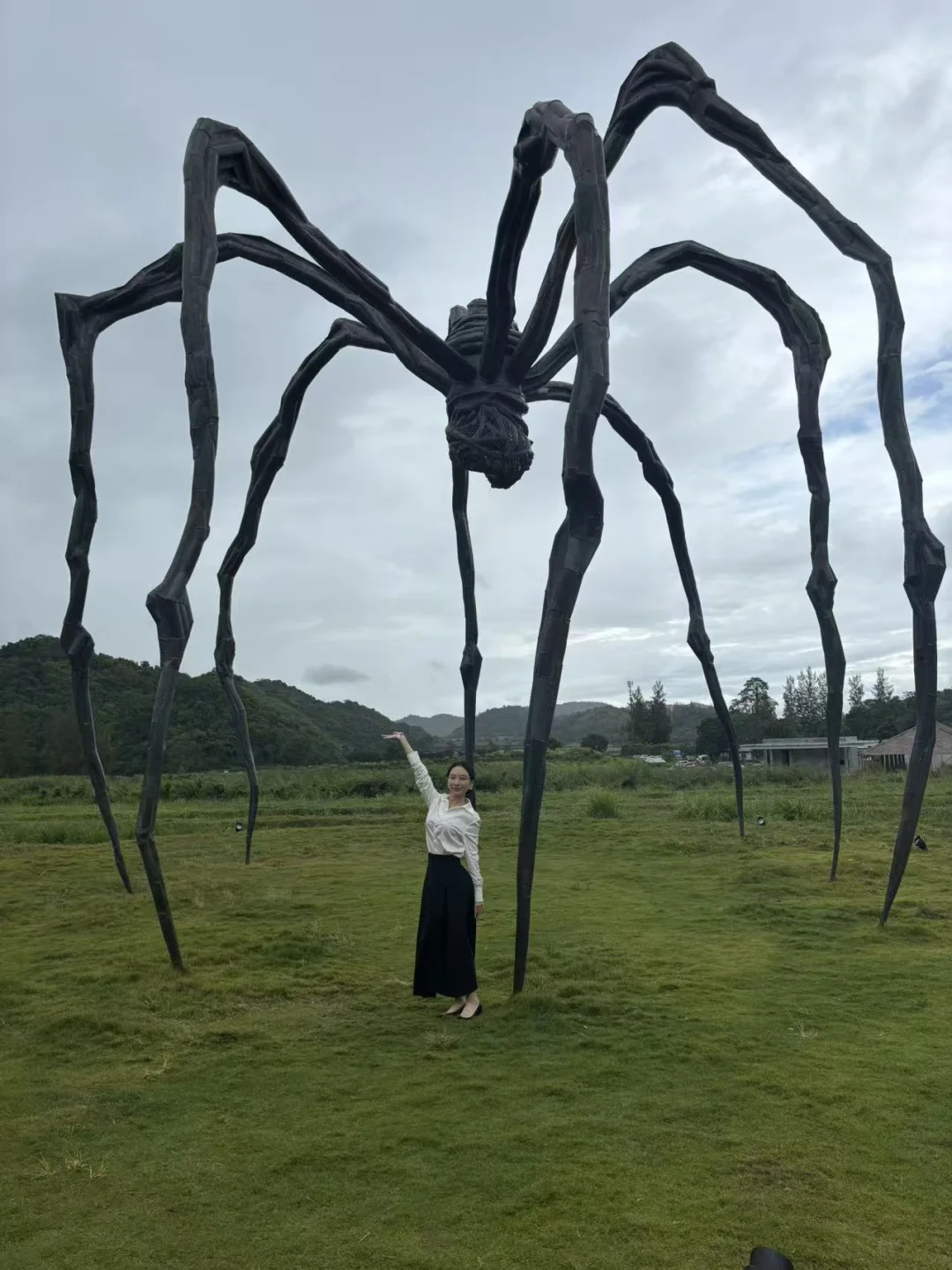 看个大蜘蛛吧！奥尔卡塔