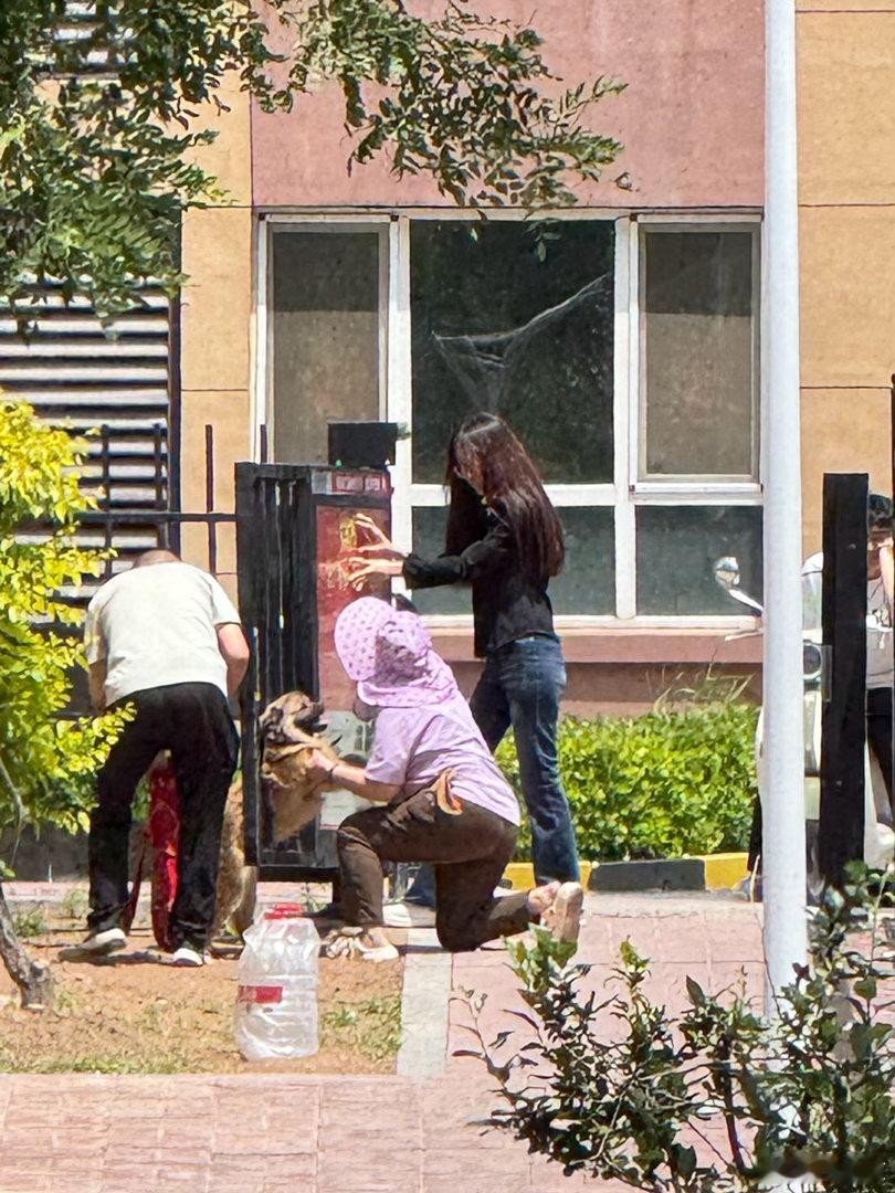 狗狗被卡住了     跨越多个小区到另外一个地方，狗狗半路上不跟着走，自己回去 
