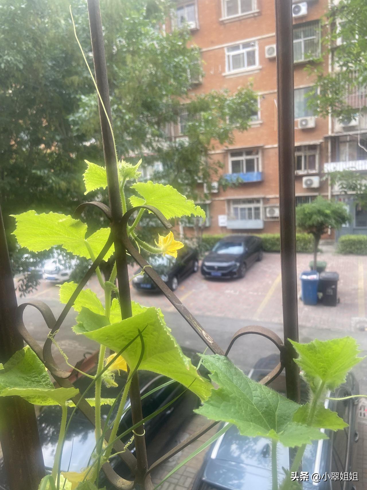 这些年虽然我从清涩，到了老年，57岁了！
但是我还是没有彻底弄明白人与人之间的相