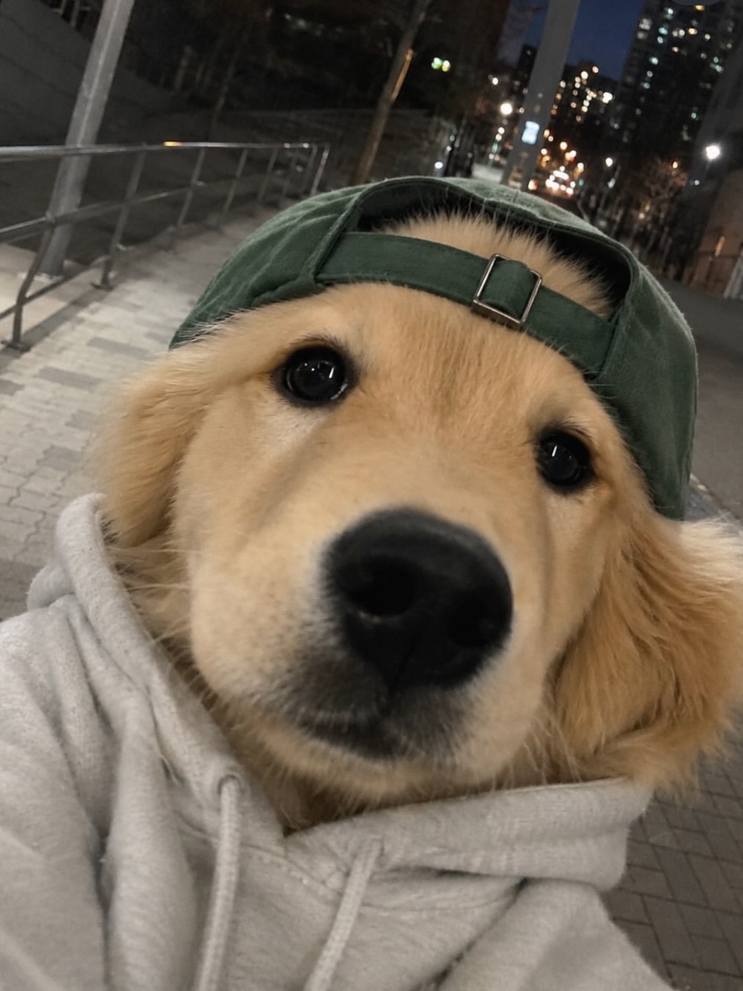 dgg夜跑新照片流出 ​​​