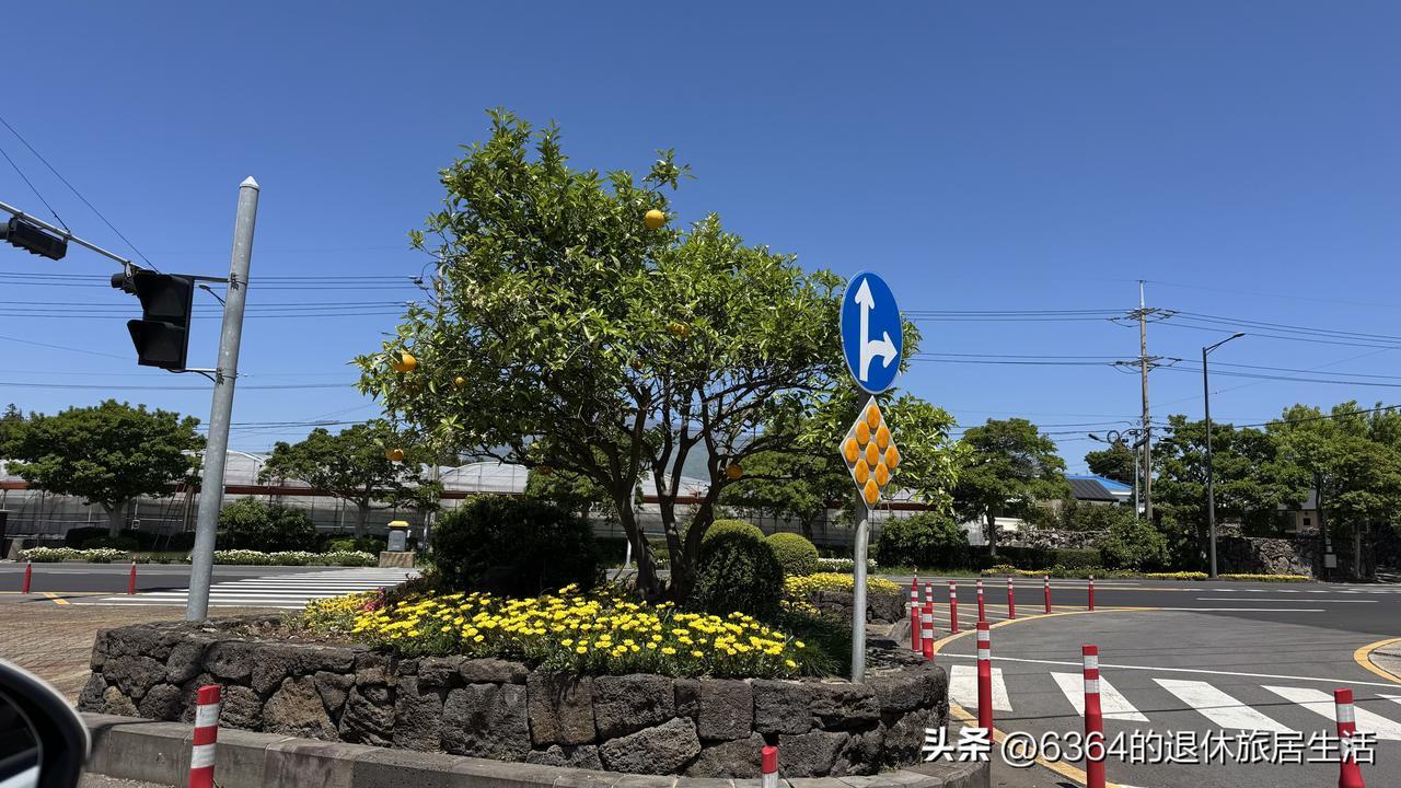 去韩国的农协超市闲逛，随手买了一条环形弹力带和一件脚蹬弹力带，细看生产厂家，前者