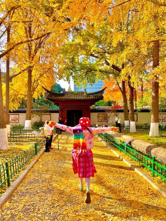 南京➏个适合秋天拍照呆一下午的地方…不花钱