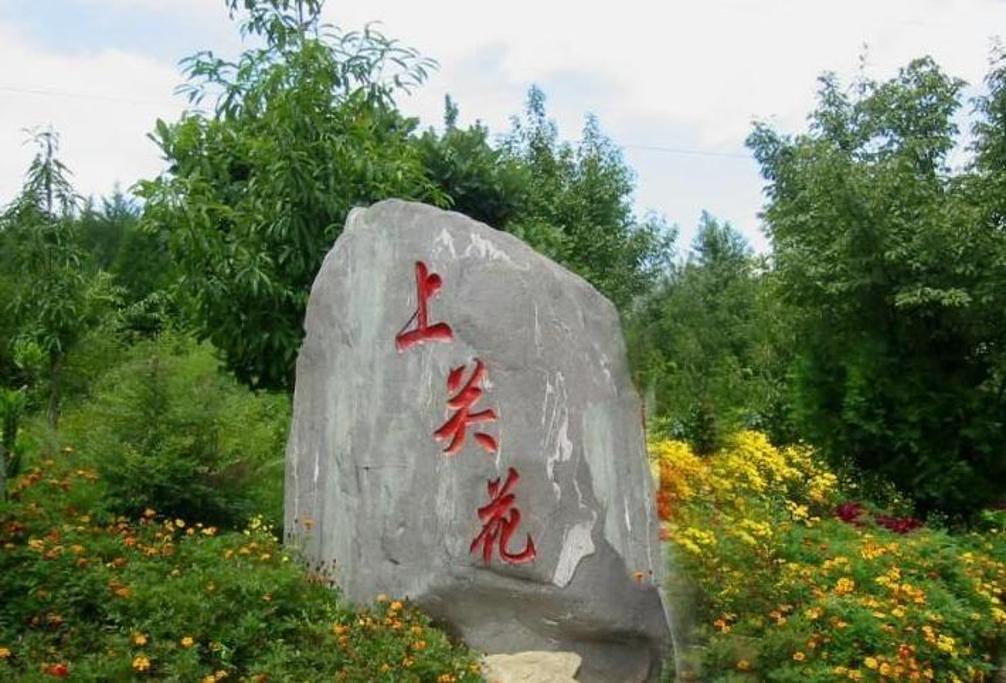 上关花 一
 
这就是上关花。

它不只开在洱海边，也开在阿奶讲过的故事里，开在
