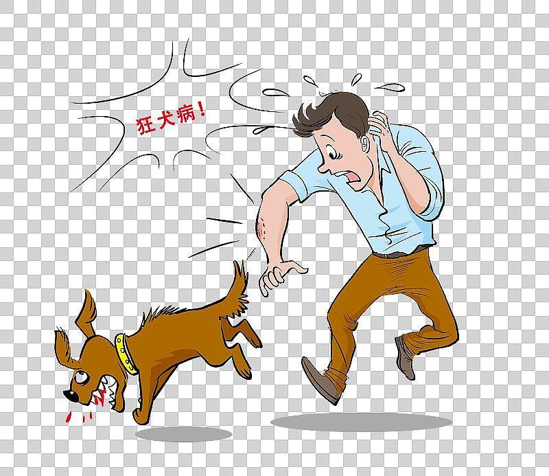 9月26日，湖南浏阳一名男子被犬只咬伤后，因未接种狂犬病疫苗，最终不幸身故。
在