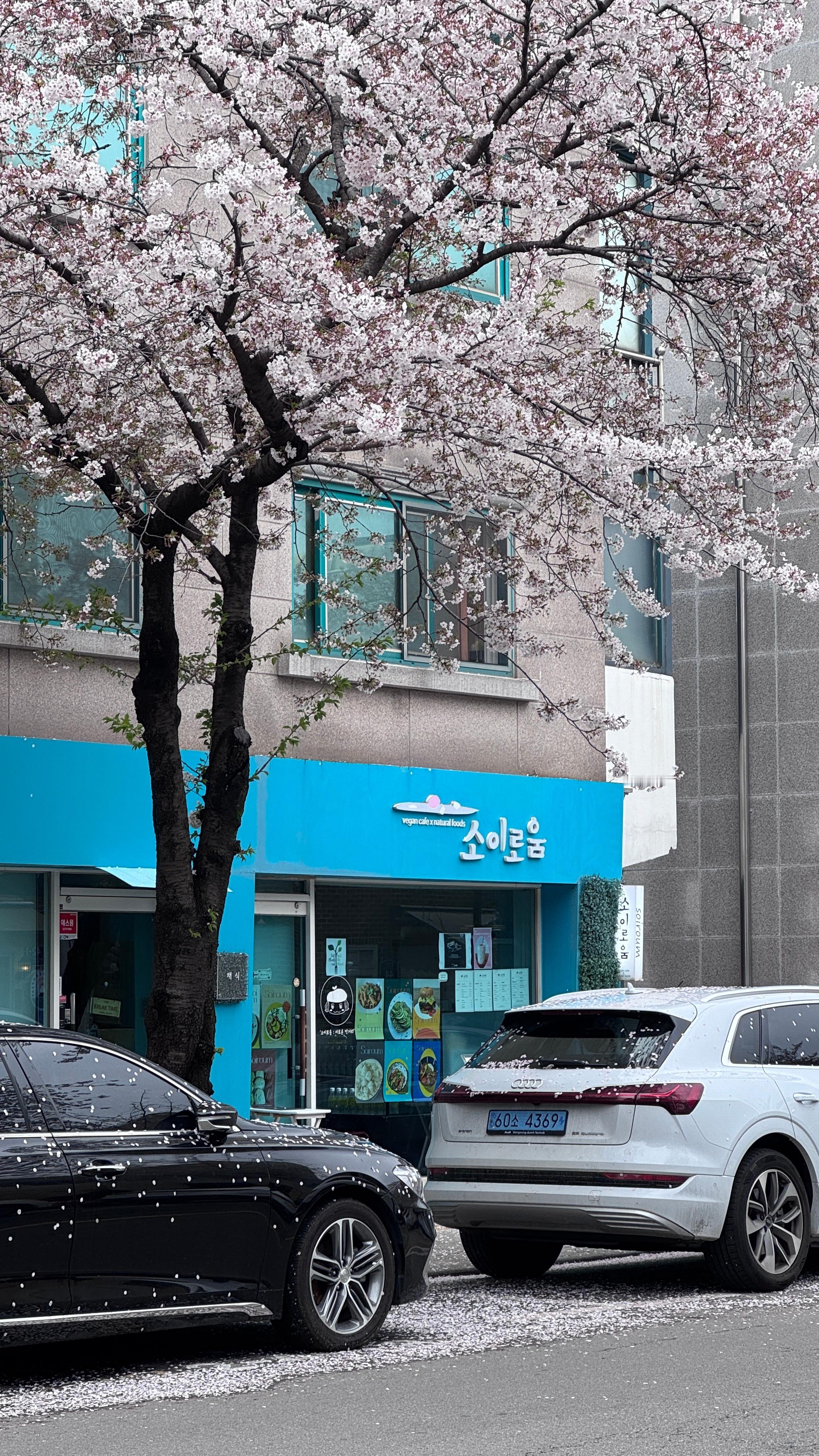 一些好看的live图～独加记一 韩国