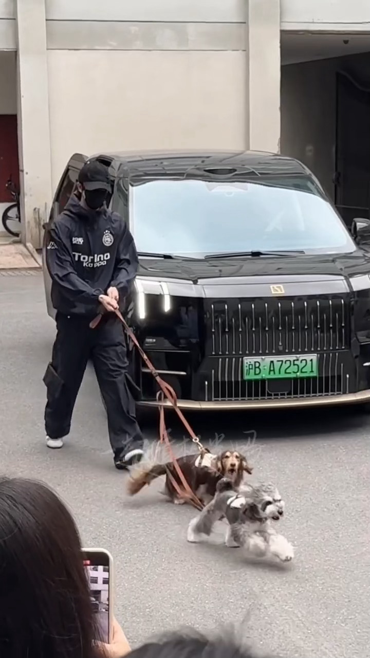 我笑的要鼠了。。。田嘉瑞：夏天你让我颜面扫地！田嘉瑞进妆追狗